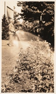 Stevens watering roses - mid 1930s - Huntington archive